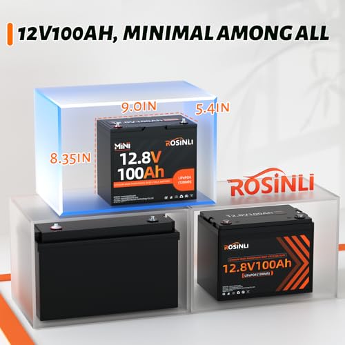 12V 100Ah Group 24 LiFePO4 Battery with 100A BMS Q524