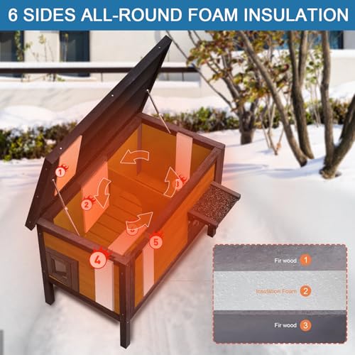 Outdoor Insulated Cat House with Escape Door L756