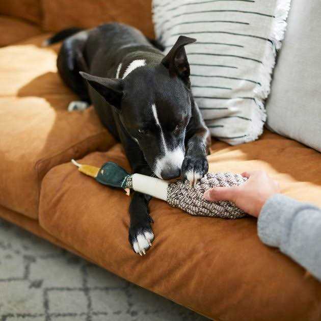 Rope Duck Crinkle Dog Toy O6787