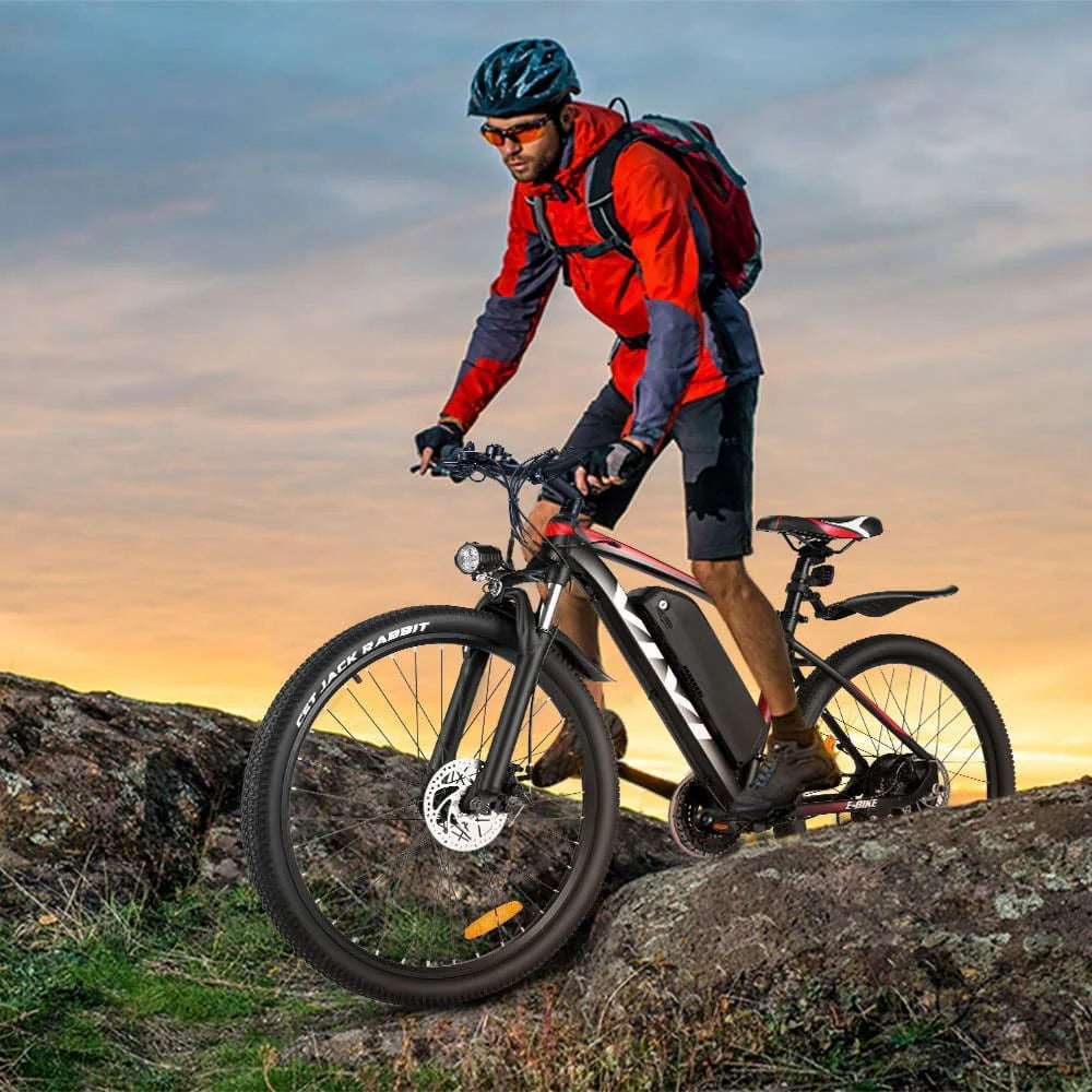 27.5 500W 21 Speed Electric Mountain Bike D6503