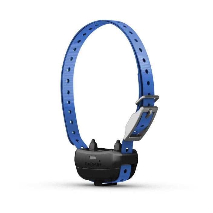 Dog Collar D6507