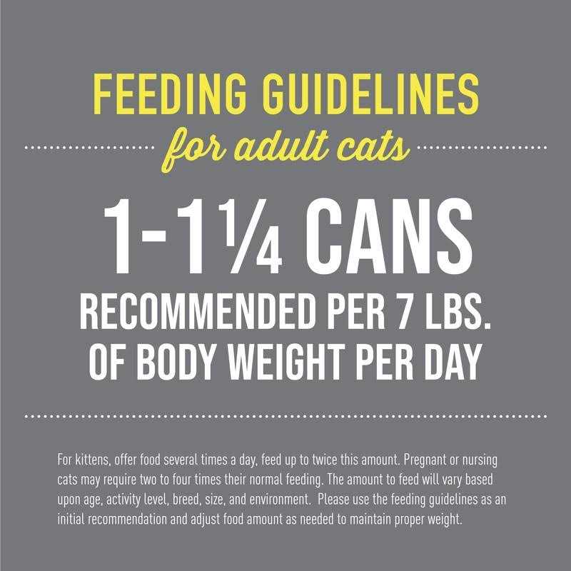 Wet Cat Food Variety Pack P22596