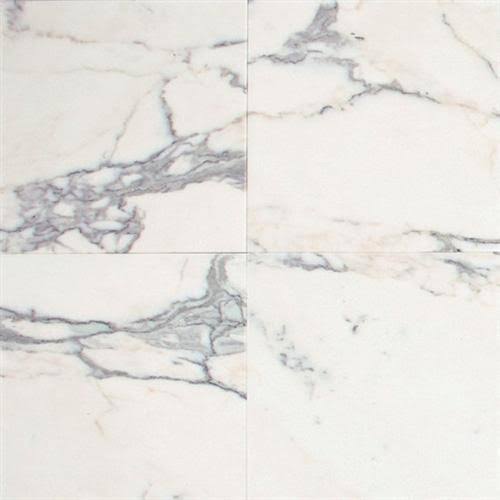 Polished Marble 12x12 Q700630