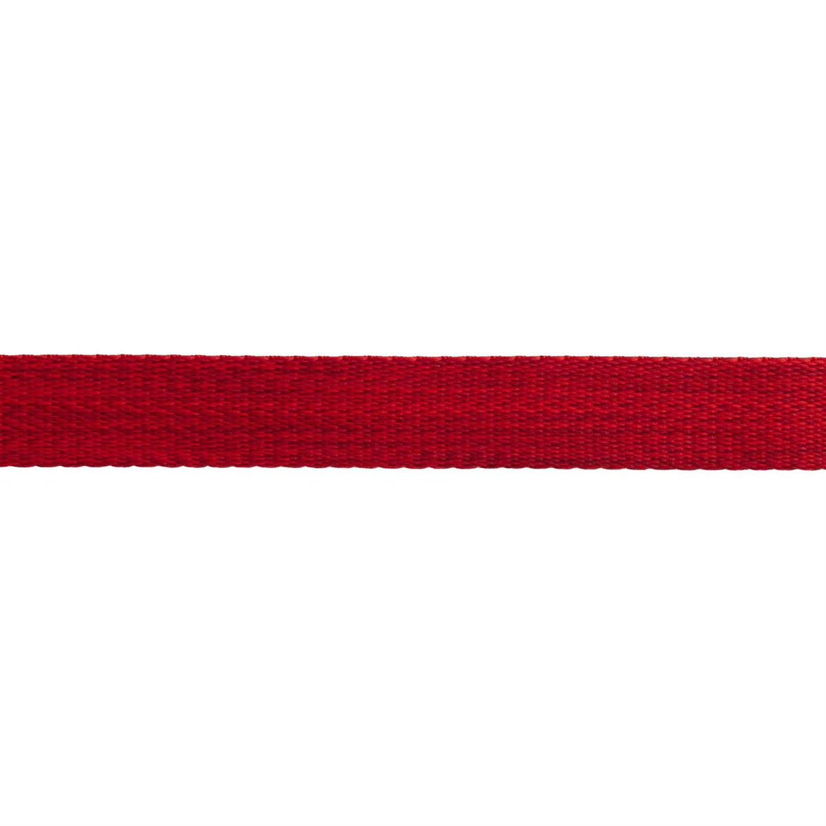 Leash Y6701