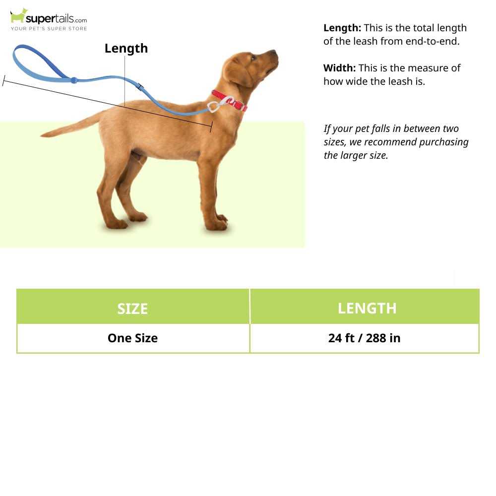 Retractable Dog Leash Q87900