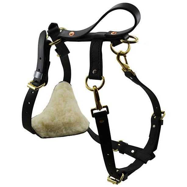 Biothane Multi-Function Harness E3907