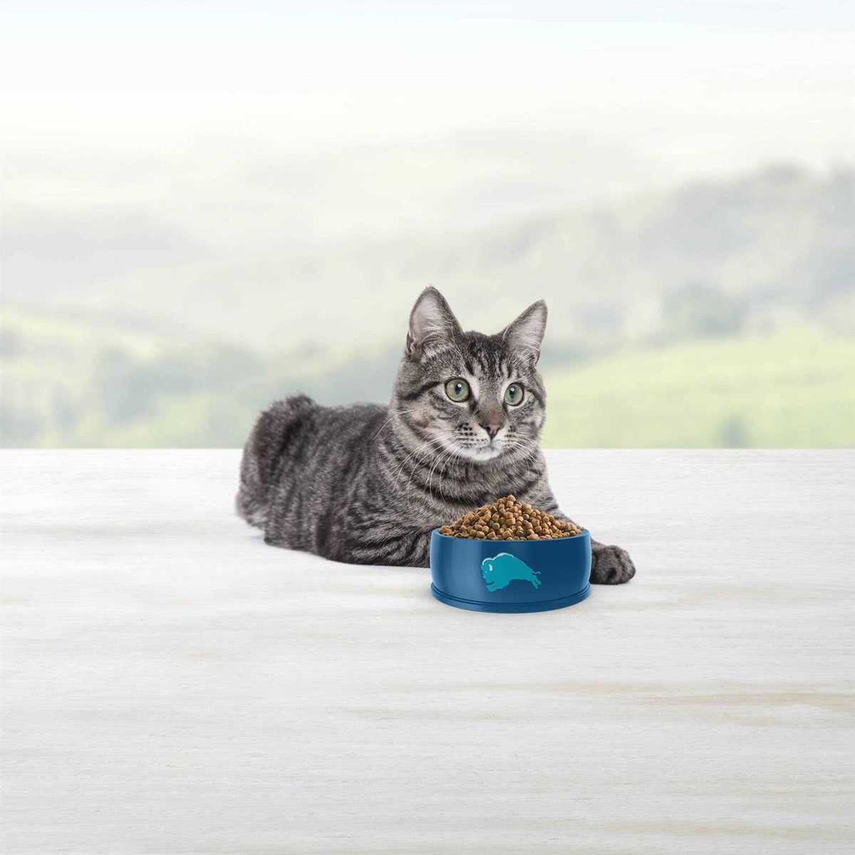 Chicken Dry Cat Food P806