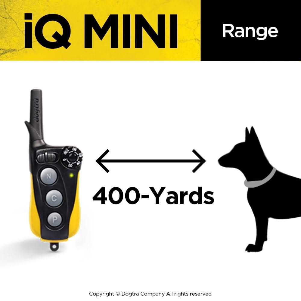 Dog Training Collar K378844