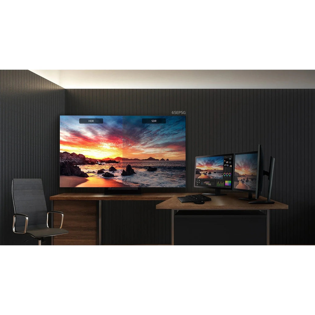 OLED Pro Display T9583