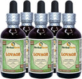 Organic Dried Lovage Alcohol-Free Liquid Extract 5x2 fl.oz D564954