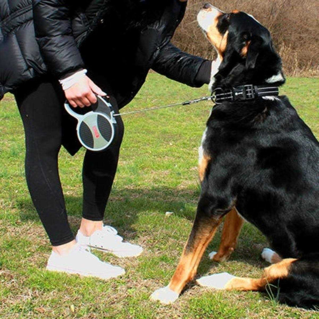 Retractable Dog Leash Q87900