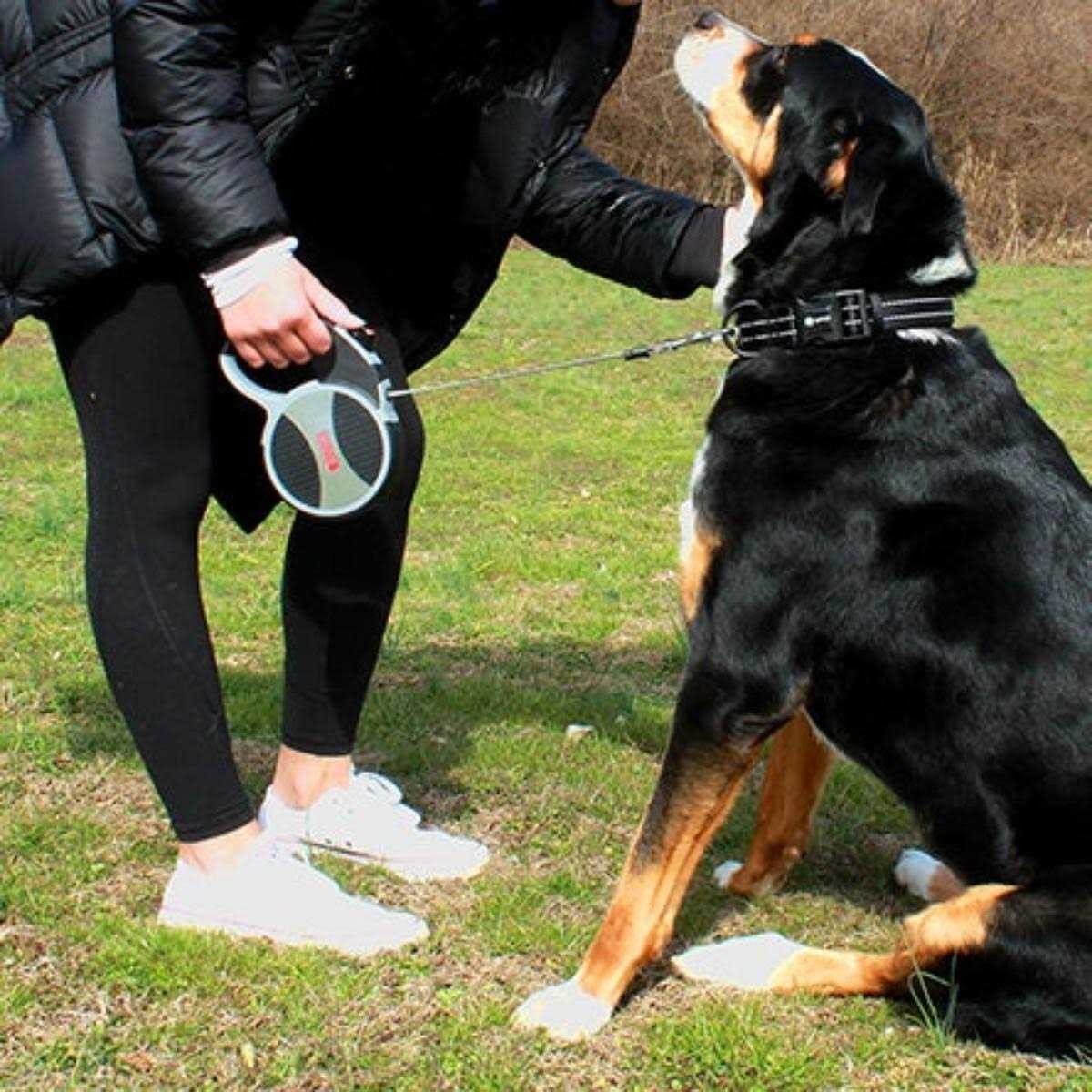 Retractable Dog Leash Q87900