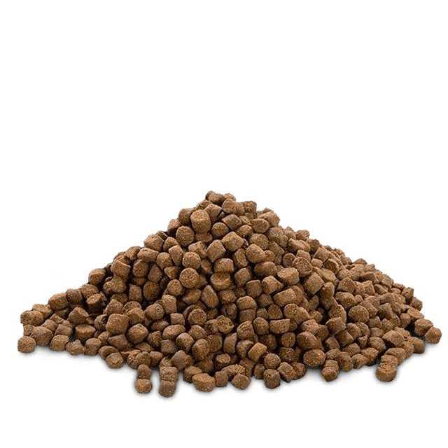 High Protein Low Fat Chicken-Free Lamb Flavor Dog Food F4196