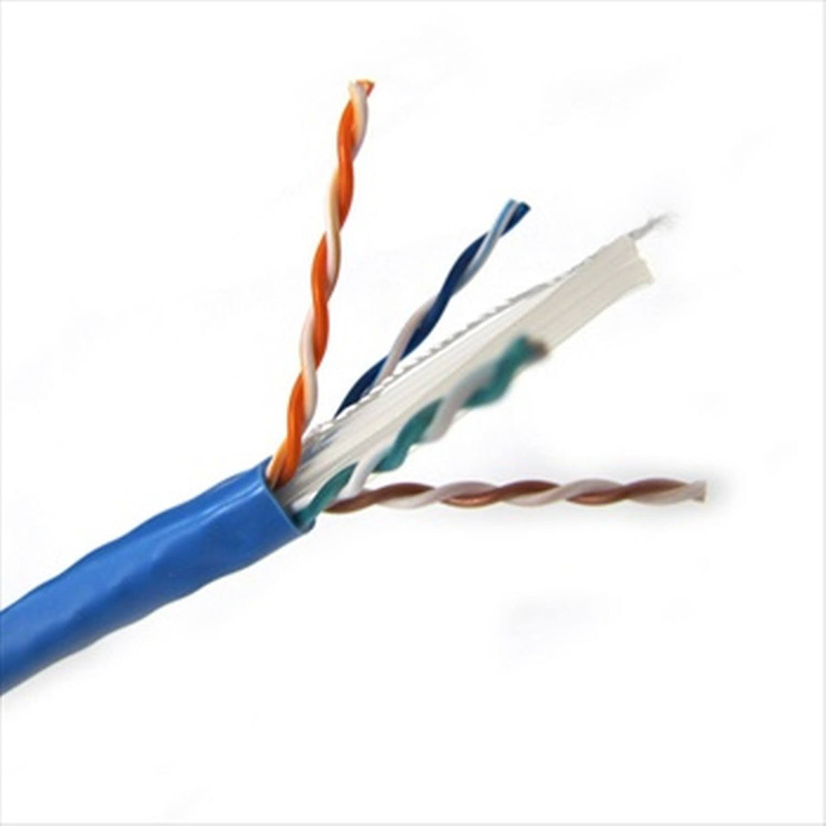 CAT 6 UTP Bulk Cable 1000 ft Blue F677781