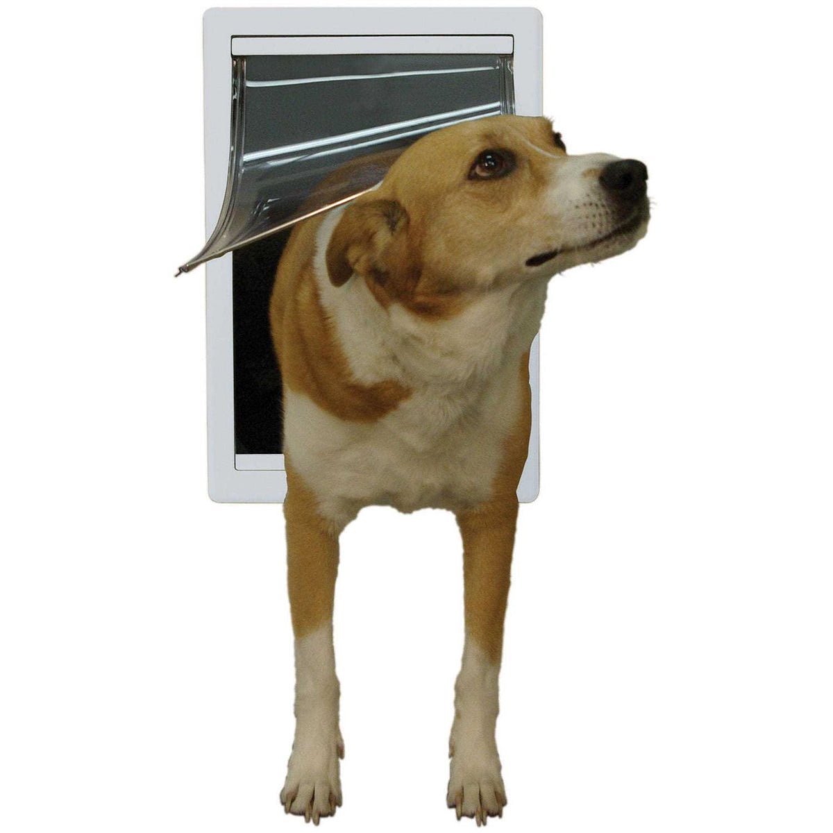 Plastic Pet Door L743693