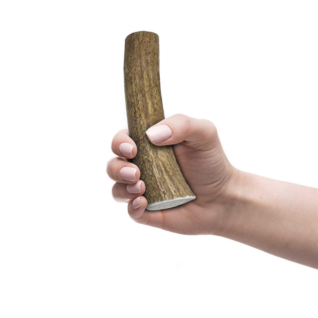 Elk Antlers for Dogs F8311