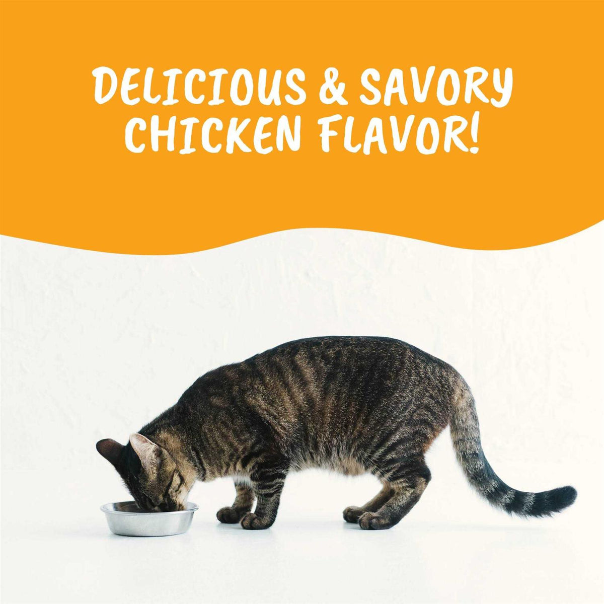 High Calorie Powder for Cats E133