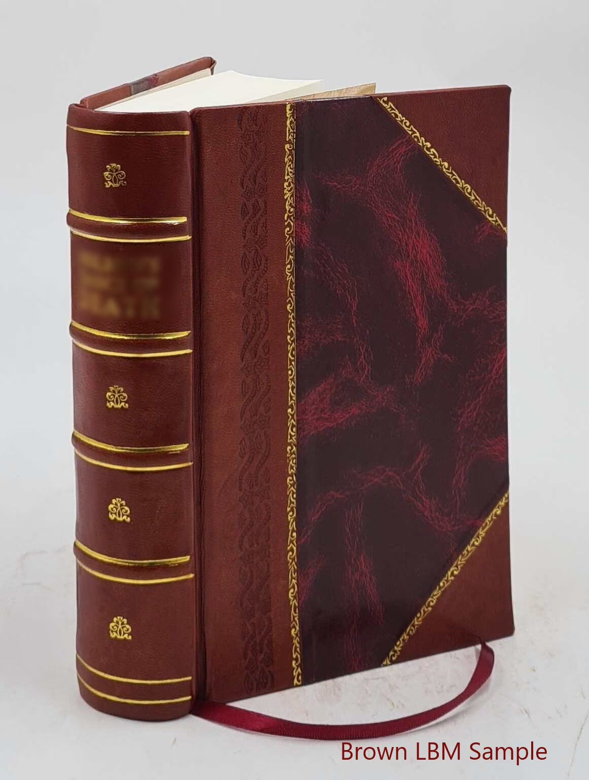 Leather Bound Book P459