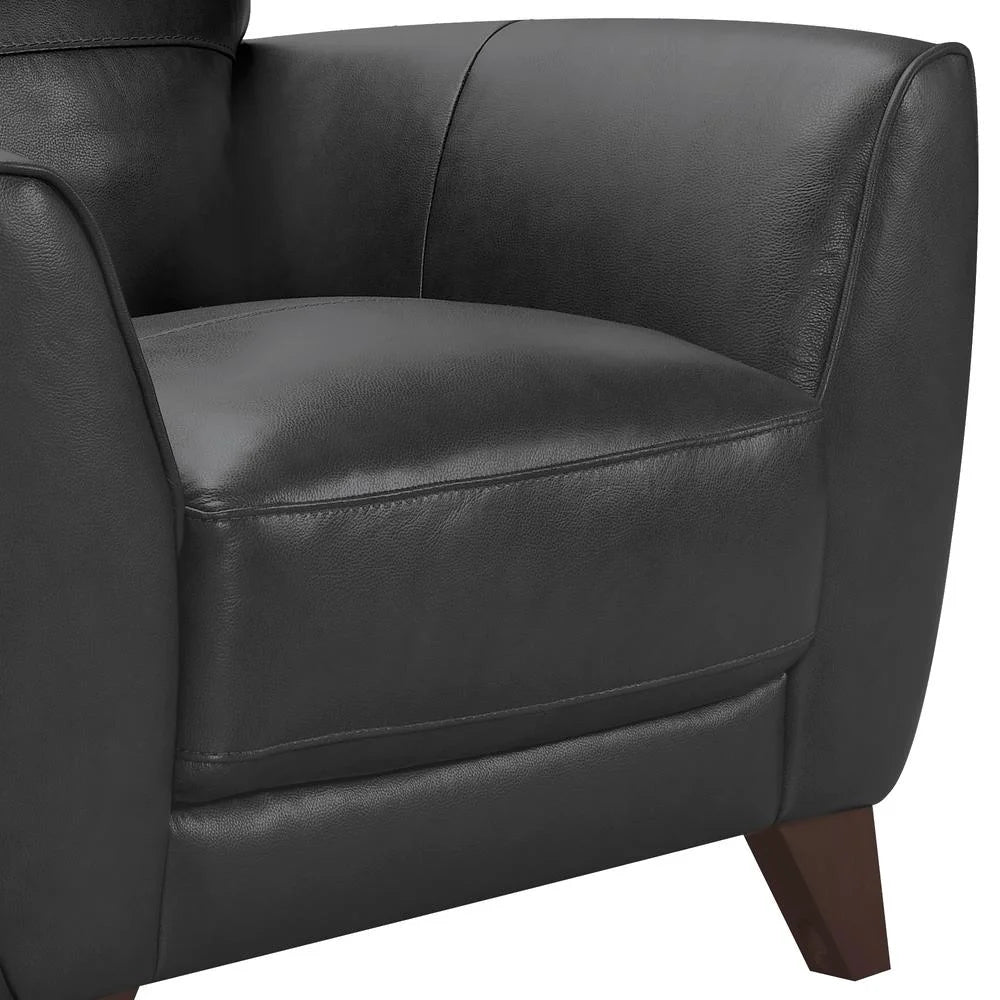 Modern Leather Accent Chair M3860